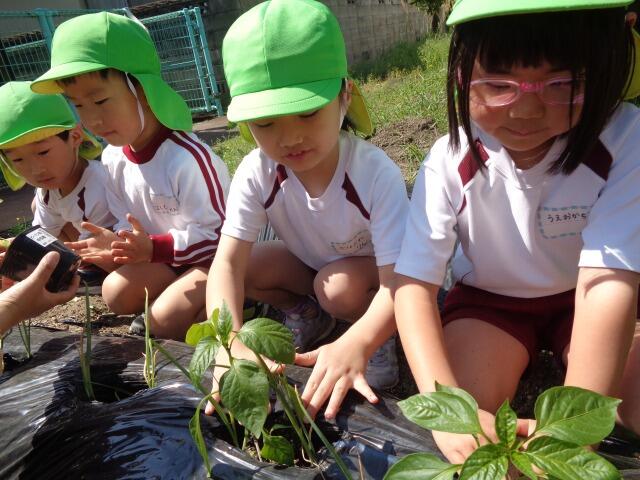 https://suzuran.info/suzuran1/img/0420251.jpg