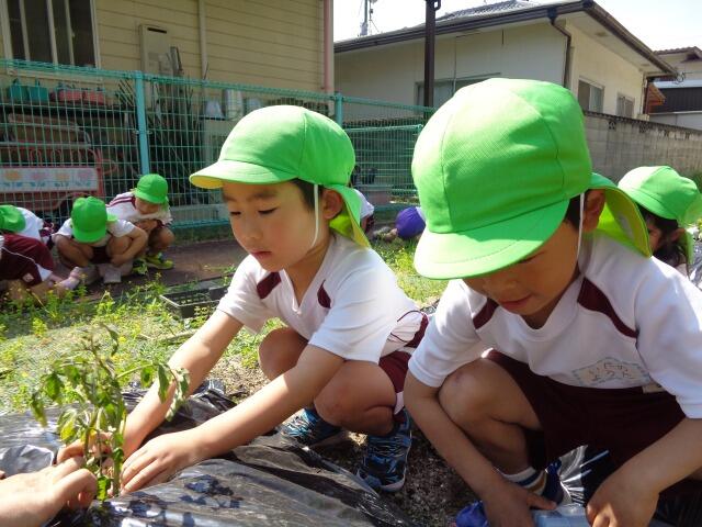 https://suzuran.info/suzuran1/img/0420252.jpg