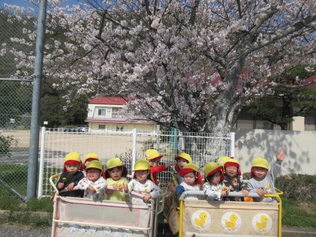 https://suzuran.info/suzuran1/img/20250406.jpg