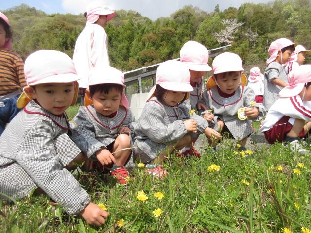 https://suzuran.info/suzuran1/img/20250407.jpg