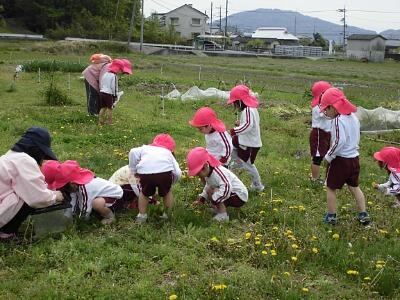 縮小16.JPG